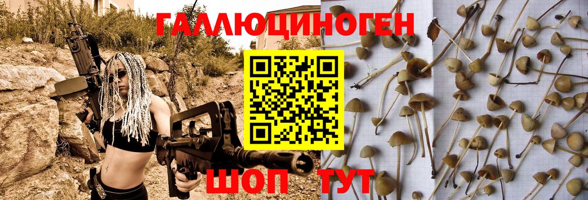 Псилоцибиновые грибы мицелий  магазин продажи   Галлюциногенные грибы прущие грибы  Комсомольск-на-Амуре  Вход с VPN 