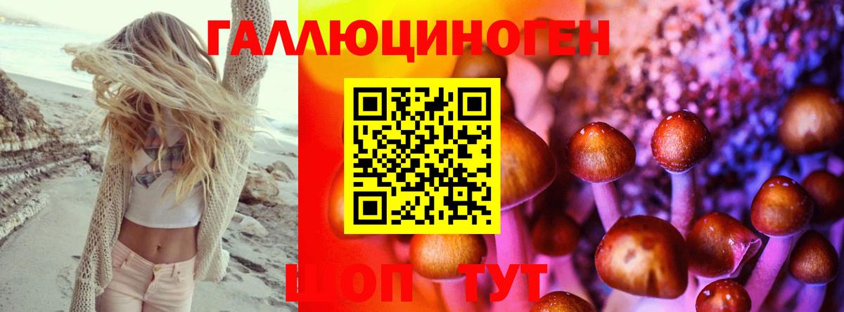 Галлюциногенные грибы Cubensis Комсомольск-на-Амуре